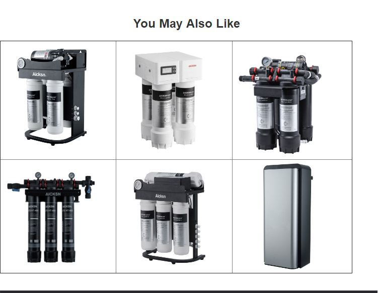 Commercial water purifier